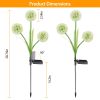 2 Pcs Dandelion Solar Light 36Led Beads Outdoor Garden Lawn Pathway Landscape Stake Lamp Colorful Ornamental Light