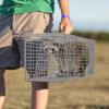 Humane Cat Trap Cage With Gloves Catch Release Live Animal Rodent Cage Collapsible Galvanized Wire For Raccoons Beavers Groundhogs Foxes Armadillos