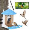 Solar Powered Smart Bird Feeder 2K Bird Watching Camera With Pir Motion Ai Birds Species Identify Two-Way Audio Real-Time App Notification Capture Vid