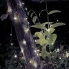 2Pcs Led String Lights 100Led Beads 32.8Ft Copper Fairy Lights Ip65 Waterproof Battery Operated Flash Lights With Remote Control For Wedding Party Jar