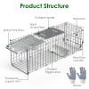 2Pcs 24X7.48X8.27In Folding Humane Live Animal Trap Cages Easy To Catch And Release Foldable Cat Trap Galvanized Steel For Small Cats Squirrels Rabbit
