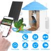 Solar Powered Smart Bird Feeder 2K Bird Watching Camera With Pir Motion Ai Birds Species Identify Two-Way Audio Real-Time App Notification Capture Vid