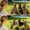 2-In-1 Dog Shock And Bark Collar Dog Training Collar With Remote 3 Collars Rechargeable Ip68 Waterproof With 3 Channels For Medium And Small Dogs