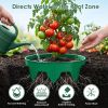 12Pcs 10In Planting Grow Rings Adjustable For Outdoor Plants Interlocking Pp Plant Protection Rings With Hand Shovel Deep Watering Plant Guards For Ve