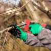 21V Cordless Electric Pruning Shears 40Mm 1.57" Electric Branch Scissors Tree Branch Cutter With 2 Rechargeable Batteries Sharpening Stone Blade Repla