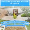 Solar Powered Smart Bird Feeder 2K Bird Watching Camera With Pir Motion Ai Birds Species Identify Two-Way Audio Real-Time App Notification Capture Vid