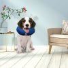 Dog Protective Inflatable Collar Pet Puppy Cat Not Block Vision E-Collar Adjustable Pet Recovery