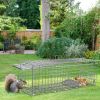 2Pcs 24X7.48X8.27In Folding Humane Live Animal Trap Cages Easy To Catch And Release Foldable Cat Trap Galvanized Steel For Small Cats Squirrels Rabbit