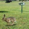 Solar Ultrasonic Animal Repeller Pir Sensor Animal Repellent Chaser With Flashing Light Ipx4 Waterproof For Chasing Deer Raccoon Squirrel Rat Skunk Ra