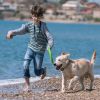 Ipx7 Waterproof Dog Training Collar With Remote Rechargeable Electronic Shock Collar For Dogs Beep Vibration Shock For Small Medium Large Dogs