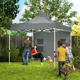 10' x 10' Heavy Duty Pop Up Canopy Tent with Sidewall, UPF50+ Instant Sun Shelter with Storage Pockets, Gray