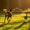Solar Powered Motion Sensor Animal Repellent Sprinkler With Flashing Light Outdoor Animal Deterrent For Cats Dogs Squirrels Birds Raccons Deer And Mor