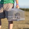 25.59Inch Live Humane Animal Trap Cage Heavy Duty Folding Catch And Release Rodent Cage For Rabbit Squirrel Possum Skunk Kitten Raccoon And More