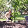 2 Packs Garden Obelisk Trellis 5.9Ft Plants Tower For Climbing Plants Flower Vegetable Vine Support Rustproof Garden Plant Trellis Black