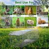 2Pcs 24X7.48X8.27In Folding Humane Live Animal Trap Cages Easy To Catch And Release Foldable Cat Trap Galvanized Steel For Small Cats Squirrels Rabbit