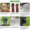 Humane Cat Trap Cage With Waterproof Cover Gloves Catch Release Live Animal Rodent Cage Collapsible Galvanized Wire For Raccoons Beavers Groundhogs Fo