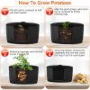3 Pack Plant Grow Bags Potato Vegetable Planter Bags Breathable Planting Fabric Pots 10Gallons
