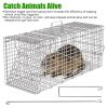 Humane Cat Trap Cage With Waterproof Cover Gloves Catch Release Live Animal Rodent Cage Collapsible Galvanized Wire For Raccoons Beavers Groundhogs Fo