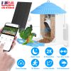 Solar Powered Smart Bird Feeder 2K Bird Watching Camera With Pir Motion Ai Birds Species Identify Two-Way Audio Real-Time App Notification Capture Vid