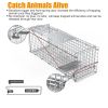 Humane Cat Trap Cage Catch Release Live Animal Rodent Cage Collapsible Galvanized Wire For Small Raccoons Beavers Groundhogs Foxes Armadillos