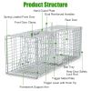 Humane Cat Trap Cage With Gloves Catch Release Live Animal Rodent Cage Collapsible Galvanized Wire For Raccoons Beavers Groundhogs Foxes Armadillos