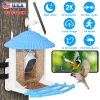 Solar Powered Smart Bird Feeder 2K Bird Watching Camera With Pir Motion Ai Birds Species Identify Two-Way Audio Real-Time App Notification Capture Vid