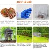 25.59Inch Live Humane Animal Trap Cage Heavy Duty Folding Catch And Release Rodent Cage For Rabbit Squirrel Possum Skunk Kitten Raccoon And More