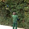 2-In-1 Electric Pruning Shear With Extension Pole 21V 4.0Ah Batteries Powered Cordless Pruner Reach 13Ft High 0.98In Cutting Diameter For Tree Trimmin