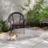 Humane Cat Trap Cage Catch Release Live Animal Rodent Cage Collapsible Galvanized Wire For Small Raccoons Beavers Groundhogs Foxes Armadillos