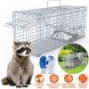 25.59Inch Live Humane Animal Trap Cage Heavy Duty Folding Catch And Release Rodent Cage For Rabbit Squirrel Possum Skunk Kitten Raccoon And More