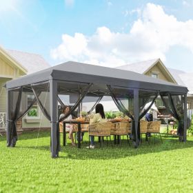 10' x 20' Pop Up Canopy Tent with Netting, Heavy Duty Instant Sun Shelter, Large Tents for Parties with Carry Bag, Gray