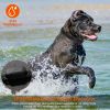 Dog Training Collar Receiver Ipx6 Waterproof Dog Bark Shock Vibration Beep Receiver