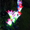 2Pcs Solar Garden Lights Outdoor Lily Flower Led Light 7-Color Changing Ip65 Waterproof Pathway Stake Lights Patio Decorative For Garden Patio Yard Wa