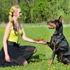 Dog Training Collar Ip67 Waterproof Rechargeable Dog Shock Collar W/ 1640Ft Remote Range Beep Vibration Shock 3 Training Modes