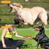 Dog Training Collar Ip67 Waterproof Rechargeable Dog Shock Collar W/ 1640Ft Remote Range Beep Vibration Shock 3 Training Modes
