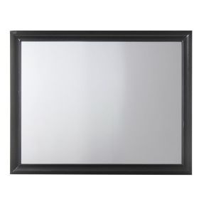 Contemporary Style Wooden Mirror with Raised Frame, Black