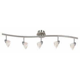 5 Light 120V Metal Track Light Fixture with Glass Shade, White and Silver