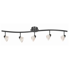 5 Light 120V Metal Track Light Fixture with Glass Shade, Black and White