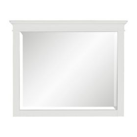Candy 43 Inch Classic Accent Mirror, Rustic Minimalist Design, Crisp White
