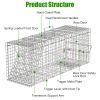 Humane Cat Trap Cage With Waterproof Cover Gloves Catch Release Live Animal Rodent Cage Collapsible Galvanized Wire For Raccoons Beavers Groundhogs Fo