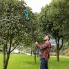 2-In-1 Cordless Pole Saw And Mini Chainsaw With Extension Pole 21V Battery 6” Electric Brushless Pole Chainsaw With Digital Display Auto Oiler Safety
