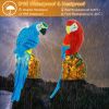 Solar Powered Parrot Garden Light Ip65 Waterproof Led Parrot Landscape Lamp Decorative Lawn Lights For Yard Driveway Walkway Patio