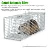 Humane Cat Trap Cage With Gloves Catch Release Live Animal Rodent Cage Collapsible Galvanized Wire For Raccoons Beavers Groundhogs Foxes Armadillos