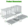 Humane Cat Trap Cage With Gloves Catch Release Live Animal Rodent Cage Collapsible Galvanized Wire For Raccoons Beavers Groundhogs Foxes Armadillos