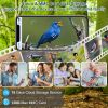 Smart Bird Feeder With Solar Powered Camera 1080P Hd Ai Identify Pir Motion Auto Capture Video Cloud Card Storage Wifi Connection App Control Ip65 Wat