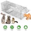 31X12X11” Heavy Duty Folding Live Animal Trap Cage Humane Easy To Catch And Release Trap For Stray Cats Raccoons Squirrel Skunk Groundhog Armadillo Ra