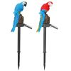 Solar Powered Parrot Garden Light Ip65 Waterproof Led Parrot Landscape Lamp Decorative Lawn Lights For Yard Driveway Walkway Patio