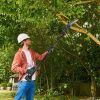 2-In-1 8” Cordless Electric Pole Saw And Mini Chainsaw With Extension Poles 2Pcs 21V 3.0Ah Batteries Adjustable Length Chain Saw With Auto Oiler Safet