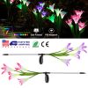2Pcs Solar Garden Lights Outdoor Lily Flower Led Light 7-Color Changing Ip65 Waterproof Pathway Stake Lights Patio Decorative For Garden Patio Yard Wa