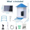 Smart Bird Feeder With Solar Powered Camera 1080P Hd Ai Identify Pir Motion Auto Capture Video Cloud Card Storage Wifi Connection App Control Ip65 Wat